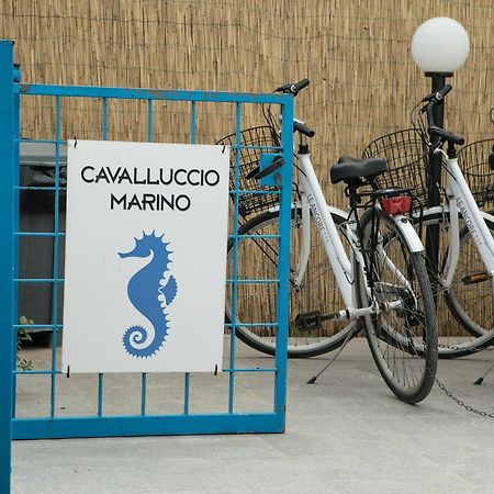 Cavalluccio Marino Apartamento Favignana Exterior foto