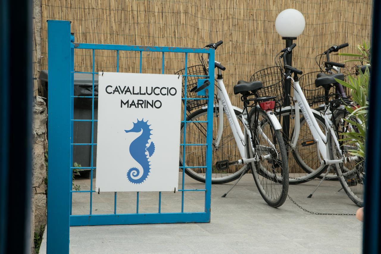 Cavalluccio Marino Apartamento Favignana Exterior foto
